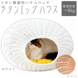 キャティーマン HOT HOME ネコの暖かいわが家 (38678) 2階建て 屋上