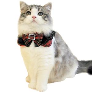 猫 首輪 黒レース＆リボン付タータンチェック丸猫服