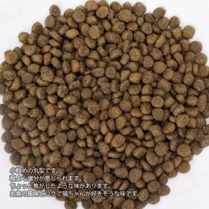 ソリッドゴールド インドアキャット アラスカ産...の詳細画像1
