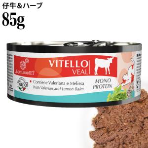 アニモンダ 猫用 フォムファインステン ディッシュ inソース 100g