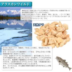 ミラクルトリーツ アラスカンワイルド フリーズ...の詳細画像2