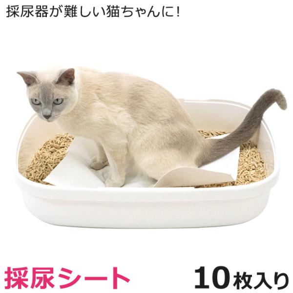 猫用 採尿シート (10枚入) 尿検査 採尿器が難しい猫ちゃんに (27973)