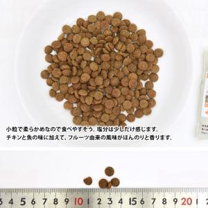 アディクション チキンシュプリーム グレインフ...の詳細画像1