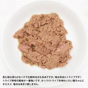 ニュートライプ CAT PURE グリーントラ...の詳細画像1
