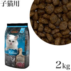 レオナルド ドライフード 子猫用キトン 2kg (58019)｜56nyan