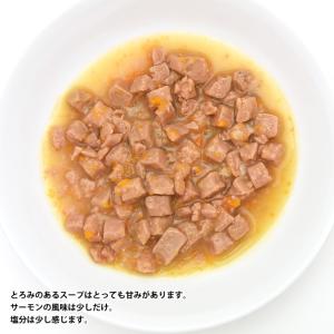 ウェルネス ヘルシーインダルジェンス 香るとろ...の詳細画像1