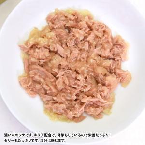 Aatas Cat アタス キャット ソウルス...の詳細画像1