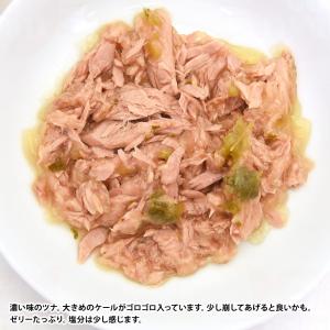 Aatas Cat アタス キャット ソウルス...の詳細画像1