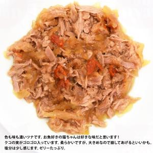 Aatas Cat アタス キャット ソウルス...の詳細画像1
