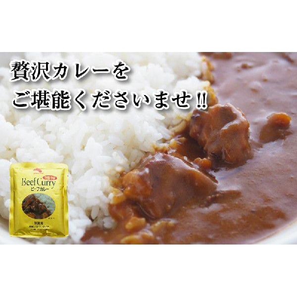 　ビーフカレー【特製中辛】（業務用）　高級レストランタイプ　１ケース（180ｇ×30個入り）　ヤマモ...