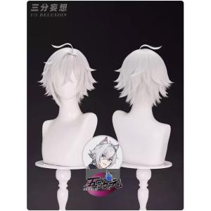 天官賜福 三郎 アニメ ウィッグ 五次元 天官賜福 三郎 少年 漫画Ver ウィッグ