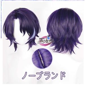 新世紀 エヴァンゲリオン 綾波 レイ ウィッグ コスプレウィッグ かつら