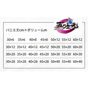 五次元 コスプレ パニエ 丈30cm×ボリュー...の詳細画像1