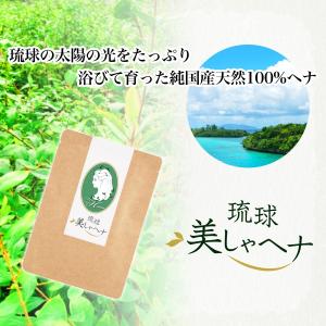 ヘナカラー ヘナ 白髪染め 純 国産  天然100%  美しゃヘナ