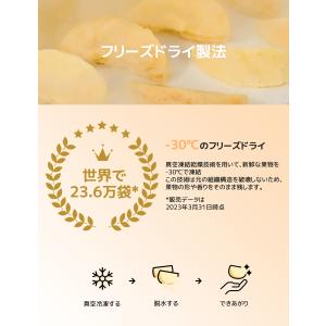 賞味期限接近セール フリーズドライりんご ドラ...の詳細画像2