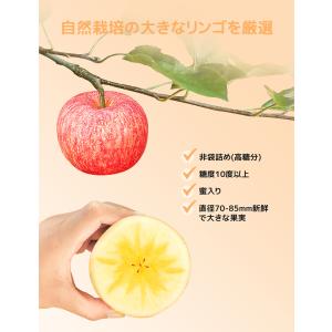 賞味期限接近セール フリーズドライりんご ドラ...の詳細画像3