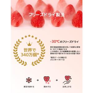 賞味期限接近セール フリーズドライ いちご ば...の詳細画像2