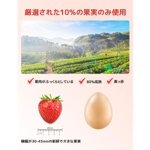 賞味期限接近セール フリーズドライ いちご ば...の詳細画像3