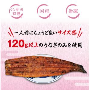 くら寿司 愛知県産 姫うなぎ 1尾セット 12...の詳細画像1