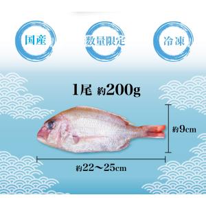 数量限定 お試し価格 50%OFF くら寿司 ...の詳細画像1