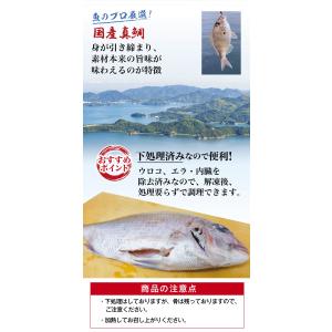 数量限定 お試し価格 50%OFF くら寿司 ...の詳細画像2