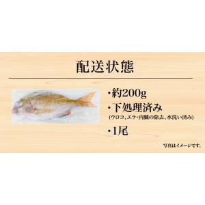数量限定 お試し価格 50%OFF くら寿司 ...の詳細画像4