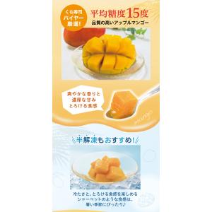 ボーナスストア 35%OFF くら寿司 アップ...の詳細画像1
