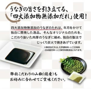 くら寿司 うなぎ 蒲焼 18食 セット 65g...の詳細画像2