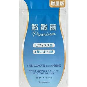 酪酸菌プレミアム ビフィズス菌 1粒に2000万個 増量版120粒 24億個