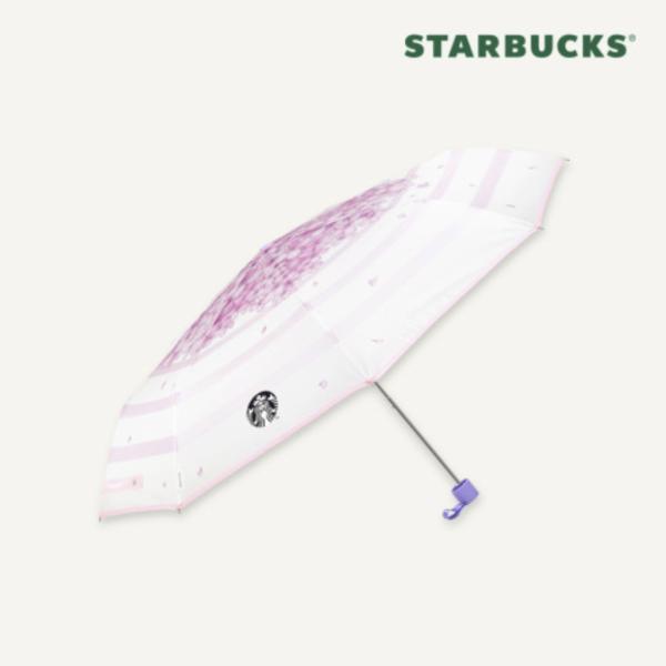 韓国限定 starbuck スターバックス 傘 2024SAKURAシリーズ 桜 さくら