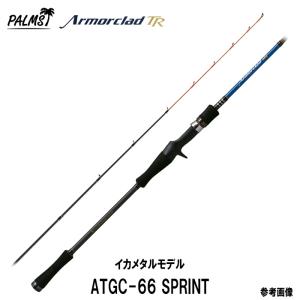 林釣漁具 IZANAI STICK イザナイスティック メガジャンボ ISO63-40号