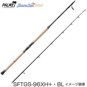 【6月発売予定ご予約承り中です！】ショアガン エボルブ SFTGS-96XH+・BL　2ピース スピニング■ルアーウエイト：40g〜120g■PEライン：1.5号〜6.0号｜釣具のレインドロップス