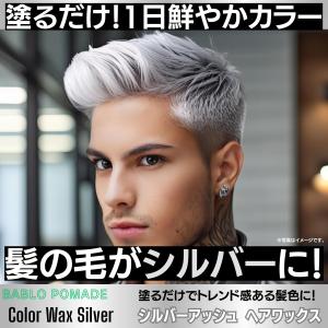 カラーワックス シルバー グレー シルバーワッ...の詳細画像1