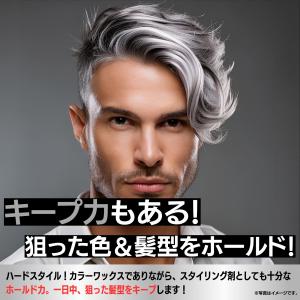 カラーワックス シルバー グレー シルバーワッ...の詳細画像3