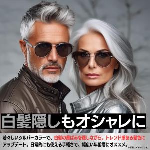 カラーワックス シルバー グレー シルバーワッ...の詳細画像4