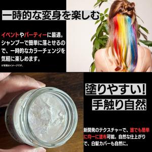 カラーワックス シルバー グレー シルバーワッ...の詳細画像5