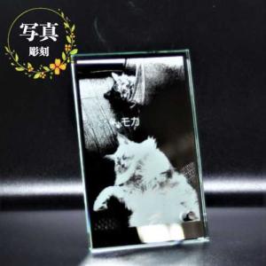 名入れ 写真彫刻 ミラーレリーフ シルバー 鏡 盾 モニュメント 卒業 卒団 退職 記念品 表彰 開店 結婚 お祝い