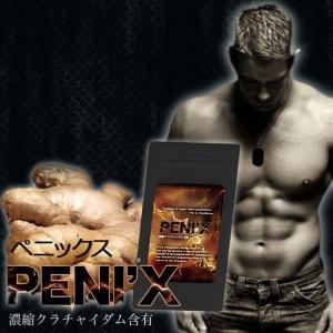セラムシルクフィブロイン 1箱 300g (10g×30包) 賞味期限2028年5月