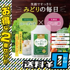 ユーグレナ ミドリムシ 乳酸菌 サプリメント の商品一覧 ダイエット 健康 通販 Yahoo ショッピング