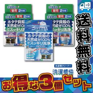 洗濯槽快 2包組ネットつき＋替用2包組×2個セット 洗濯槽 クロカビ除去 部屋干し臭対策 ヌメリ 悪臭 除去