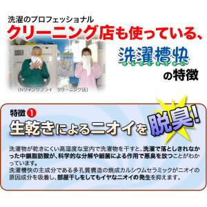 洗濯槽快 2包組ネットつき+替用2包組×2個セ...の詳細画像4