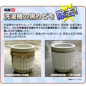 洗濯槽快 2包組ネットつき+替用2包組×2個セ...の詳細画像5