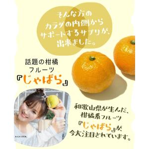 healthylife じゃばらガード タブレ...の詳細画像2