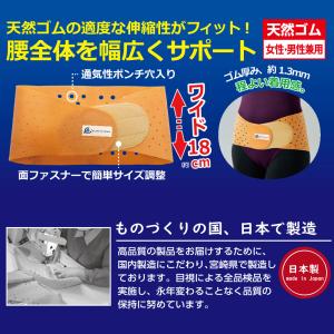 匠の心 天然ゴムの腰ベルト 腰サポーター 腰痛...の詳細画像2