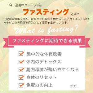 ベジエナチュラル ファスベジ 3daysプチフ...の詳細画像4
