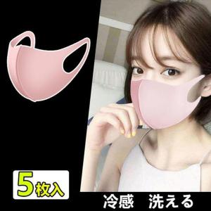 マスク 洗える 立体マスク 5枚入 多機能 ポイント消化