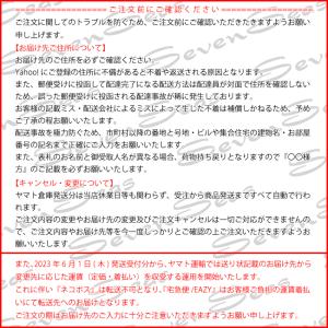 チェーン ネックレス サーフビコ BICO B...の詳細画像3