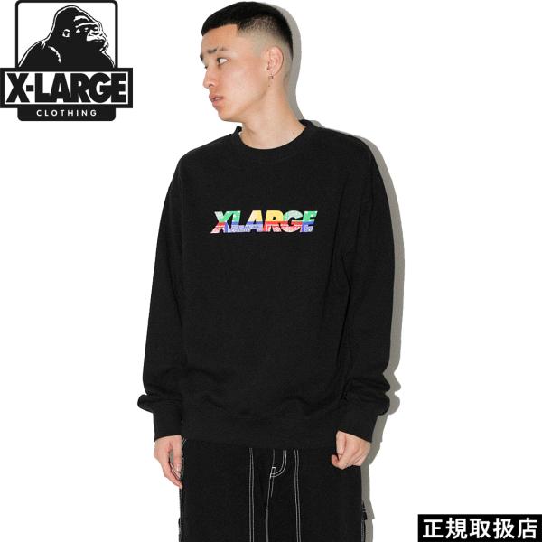 XLARGE エクストララージ PAISLEY STANDARD LOGO CREW NECK SW...