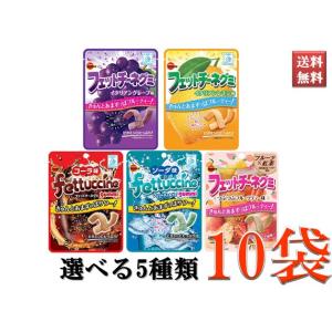 フェットチーネ グミ ブルボン お菓子 おやつ ソーダ コーラ グレープ レモン フルーツティ 選べ...
