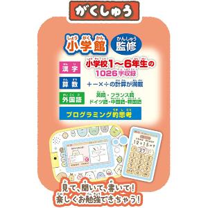 正規品 知育玩具 5歳 6歳 すみっコぐらし ...の詳細画像3